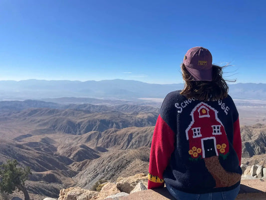 Finding My Direction: The Origin Story of Traveling Miss T.