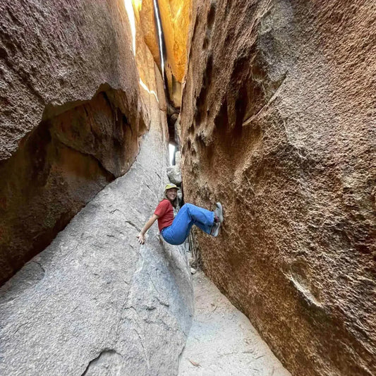 Joshua Tree January: Launching a New Vision for Education, Conservation, and Collaboration