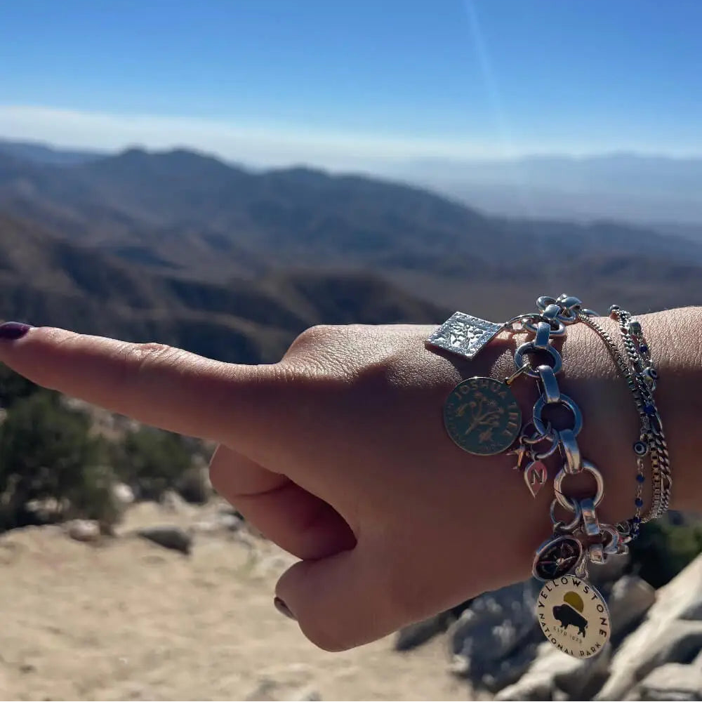 Traveling Miss T. wearing Jet Set Candy Charm Bracelet 