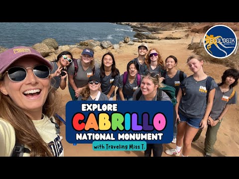 Traveling Miss T. Field Trips